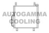 AUTOGAMMA 105551 Condenser, air conditioning